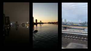 LasFlores-still-5_wilke-goya - Miguel Goya