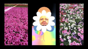 LasFlores-still1_Goya-Wilke - Miguel Goya