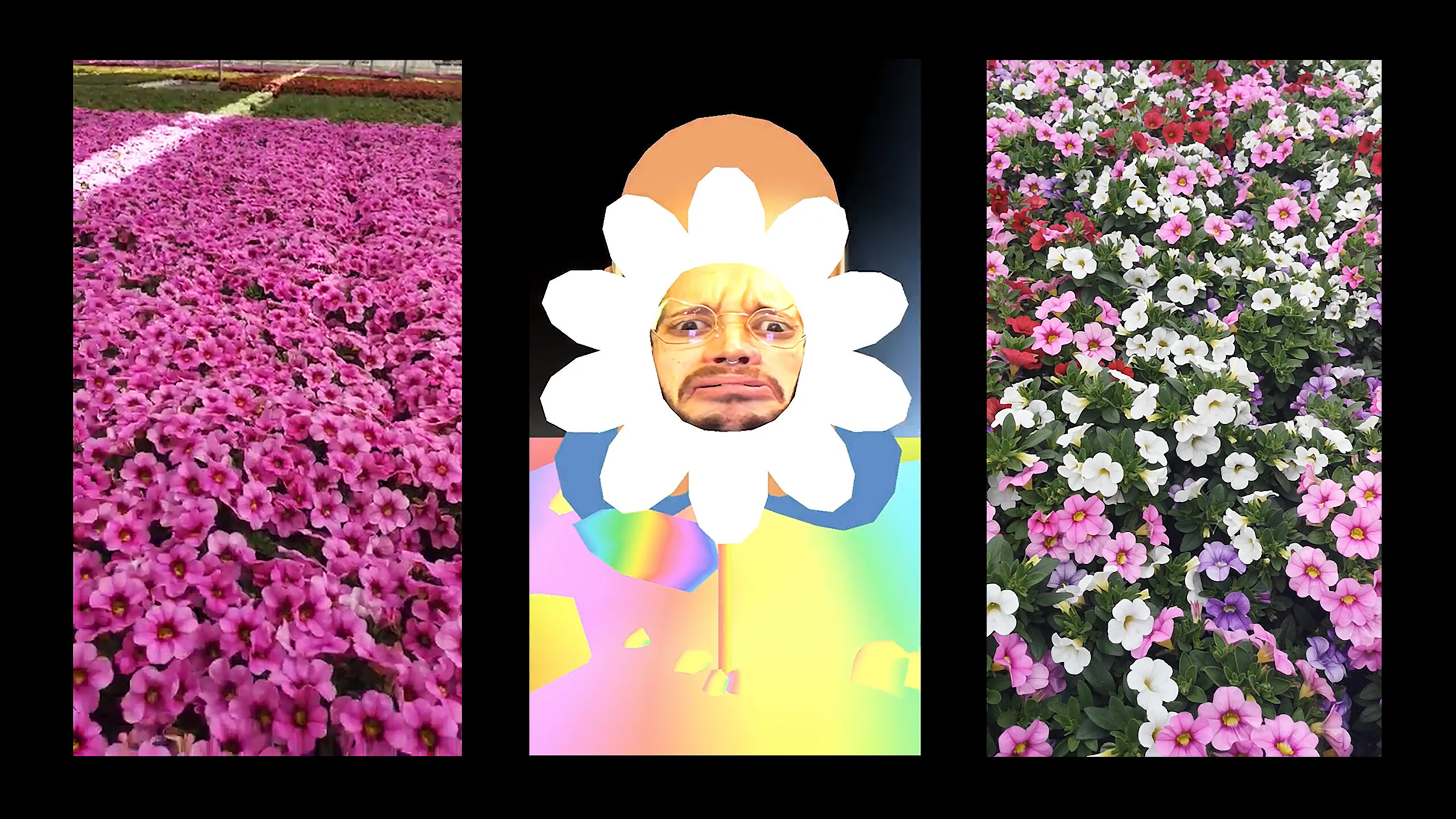 LasFlores-still1_Goya-Wilke - Miguel Goya