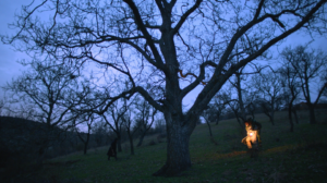 Beyond the Darkness - Photo 1 - Lorena