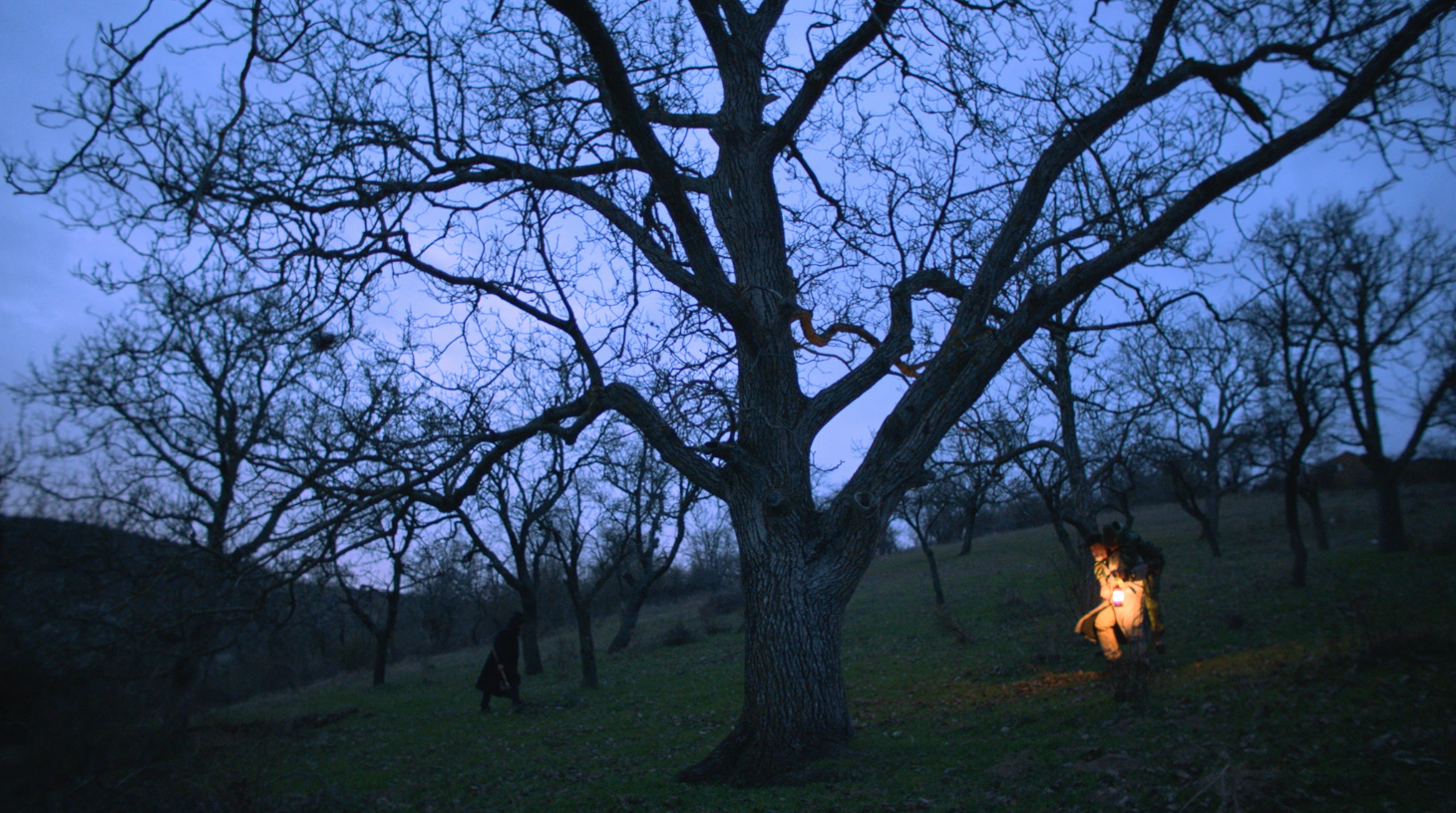 Beyond the Darkness - Photo 1 - Lorena