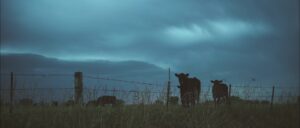 CRUZAR UN PUENTE - FOTOGRAMA 03