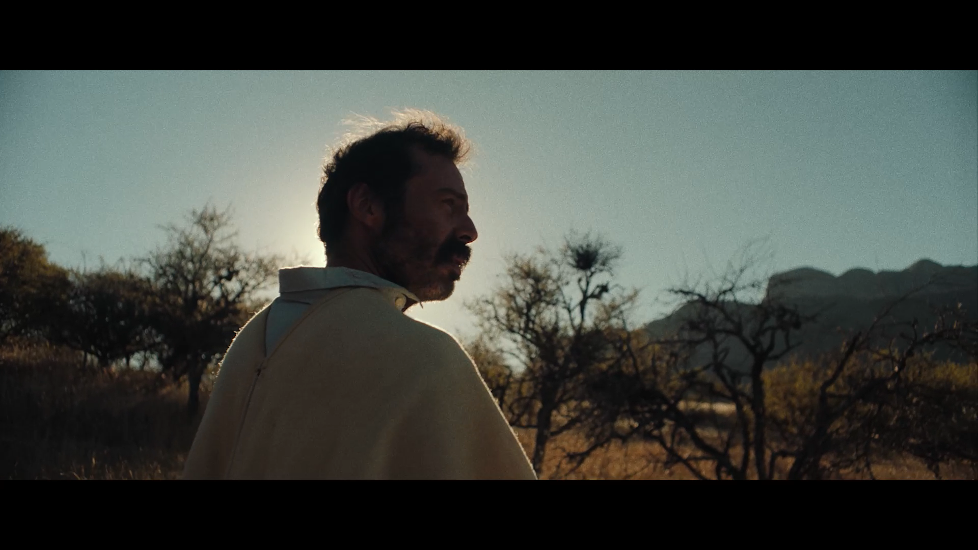 Gregorio ve a su hermano - jorge alejandro quiroga guerra