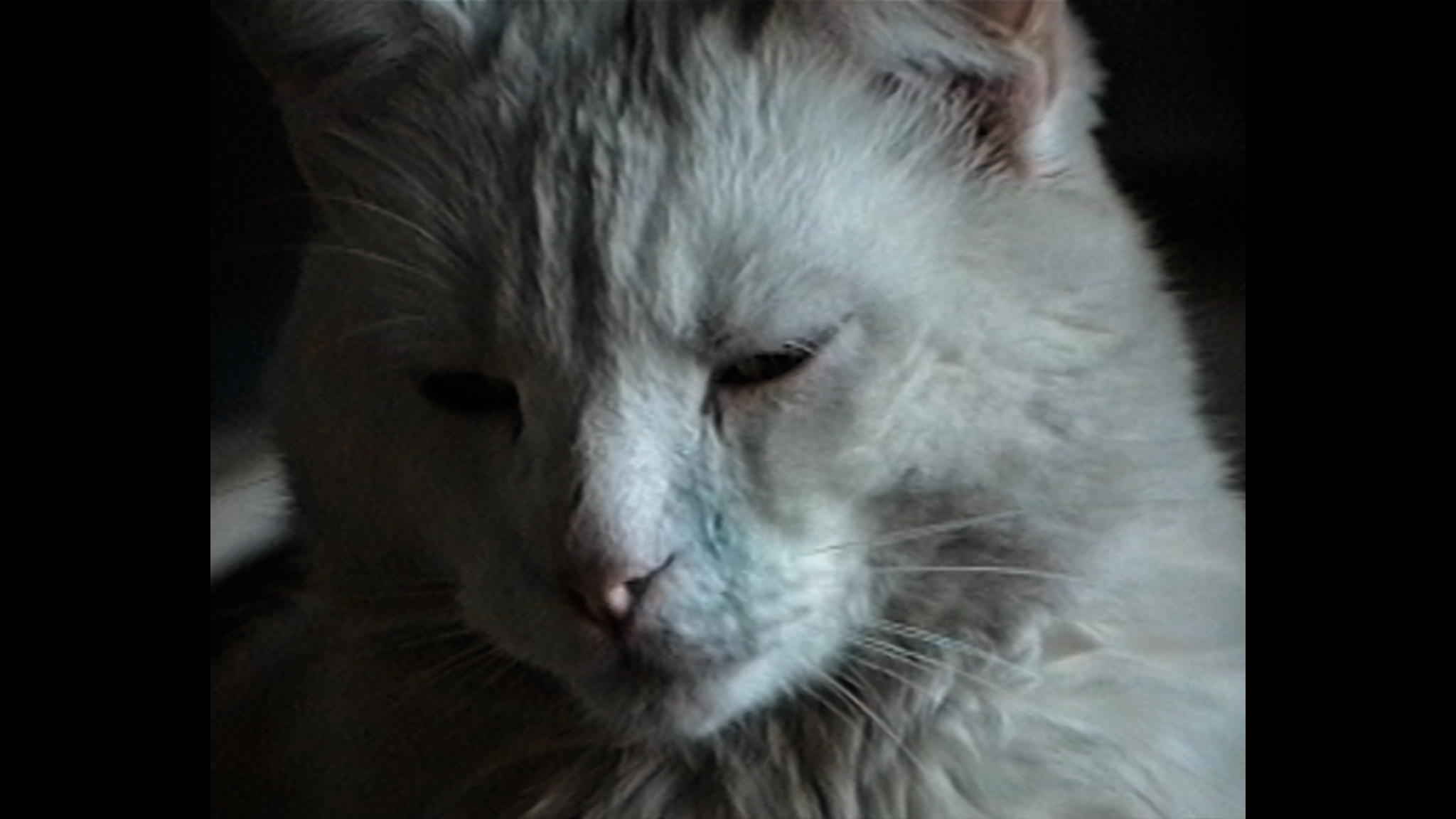 REC FRAME 42 0 - Melina Terribili