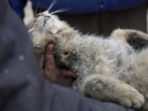 Still _Alas Tierra_1 - Ismael Martin