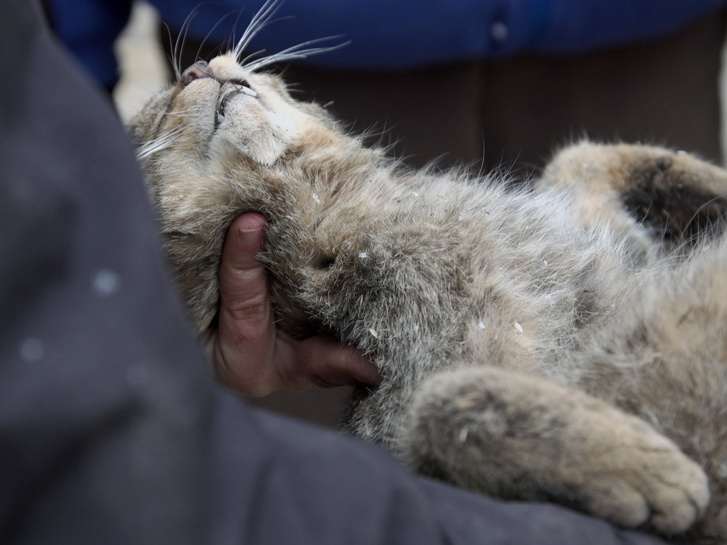 Still _Alas Tierra_1 - Ismael Martin