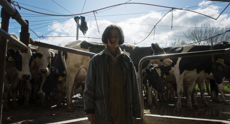 los-impactados-lucia-puenzo-MDOZD3TR7VFDZJS6AQ5MKSTOKY