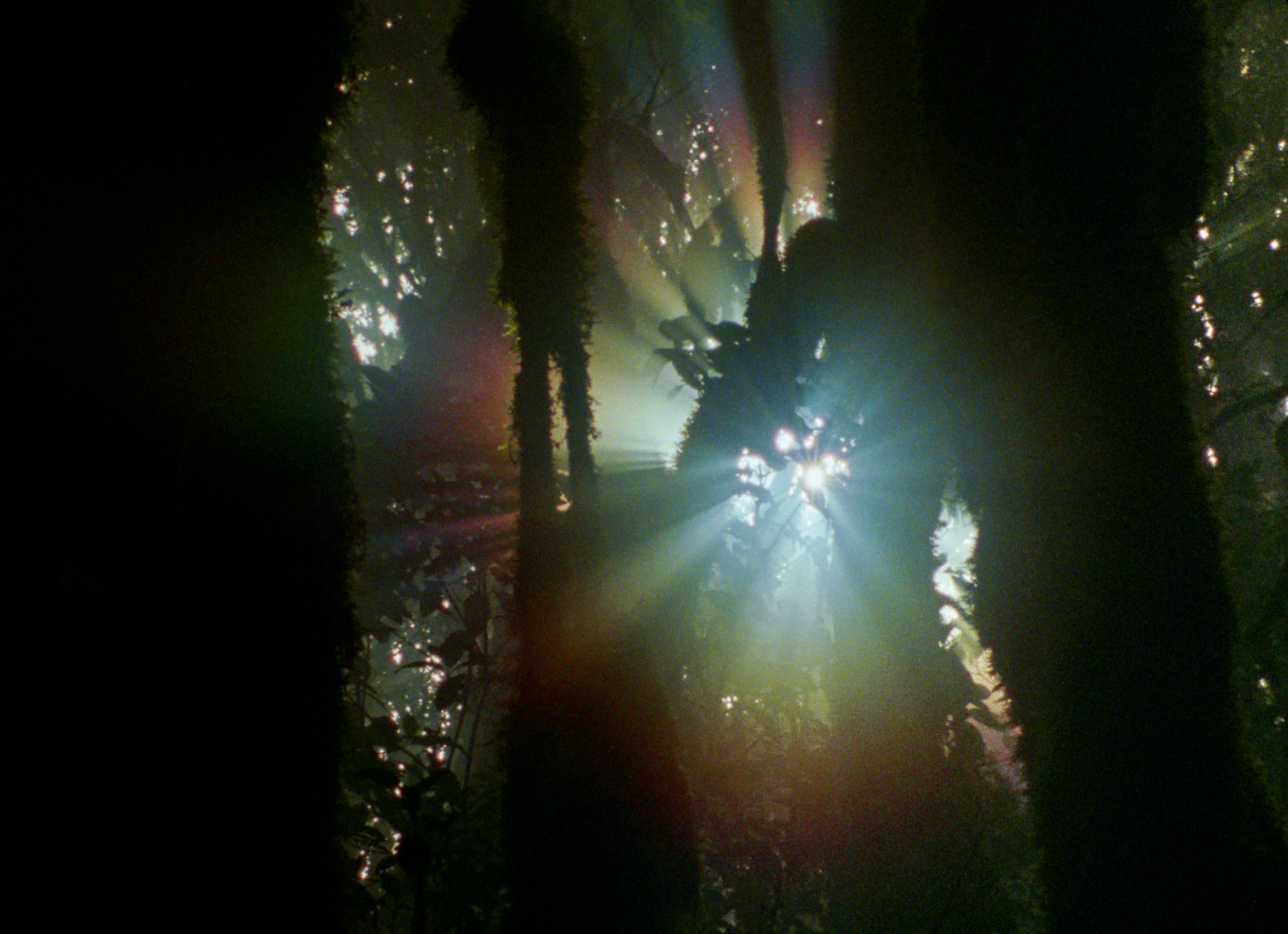 3_EL CANTO DE LOS AÑOS NUEVOS - Digital 104 Film Distribution