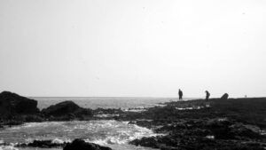 525e9165-1367-4d31-9f48-76a9345786f0