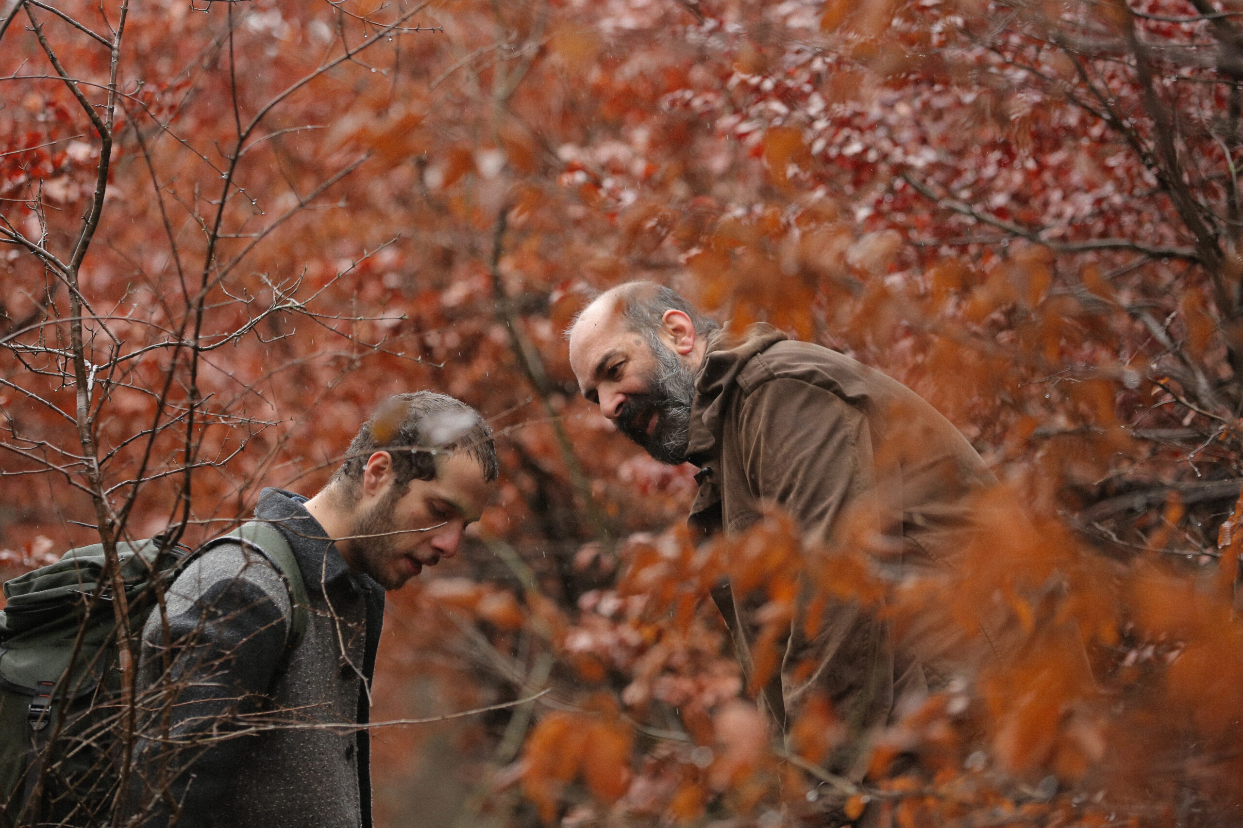 Amirhossein Shojaie 2