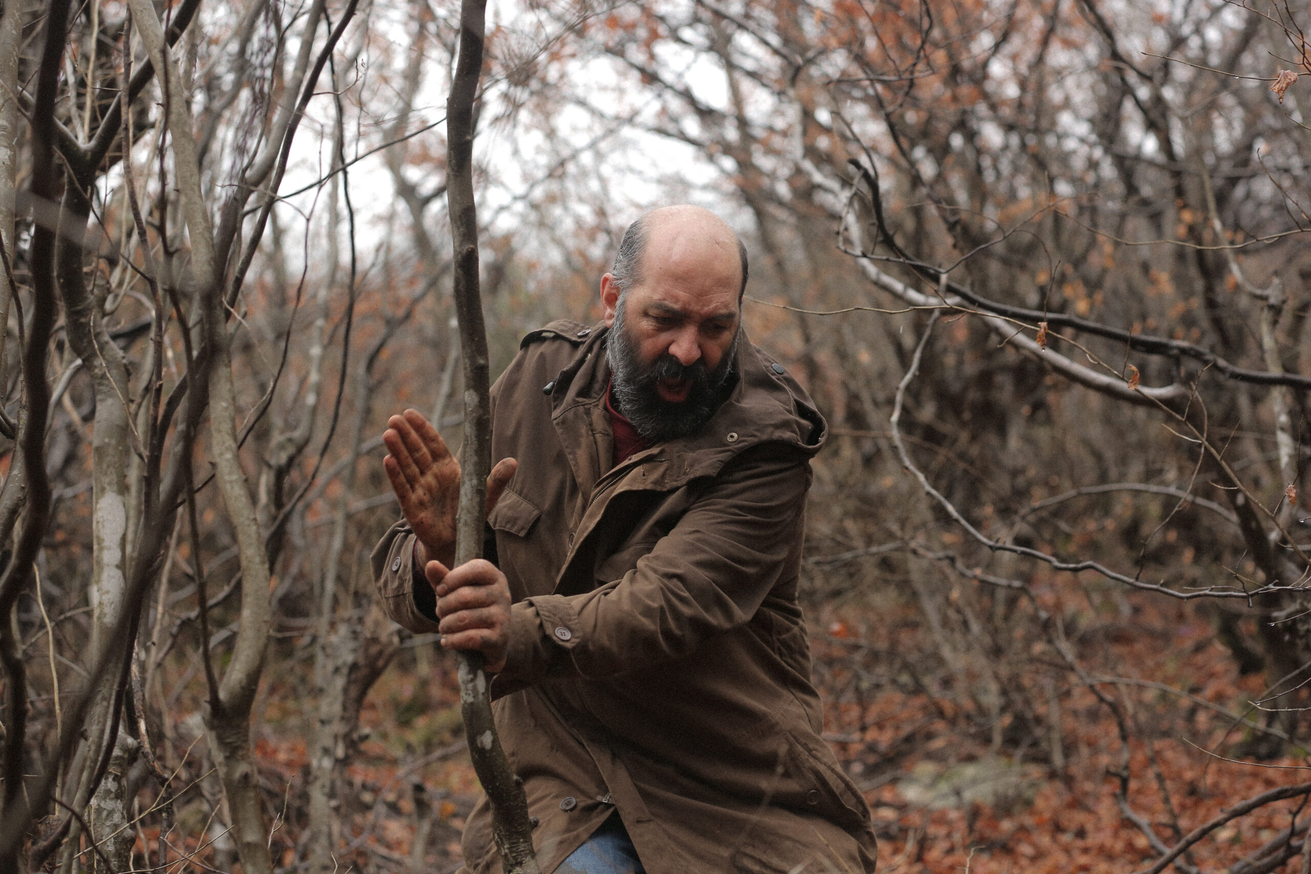 Amirhossein Shojaie 7