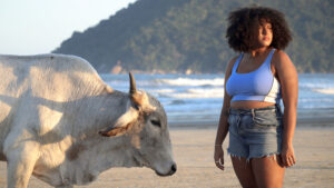 Boi de Conchas_Still 1 - morethan films