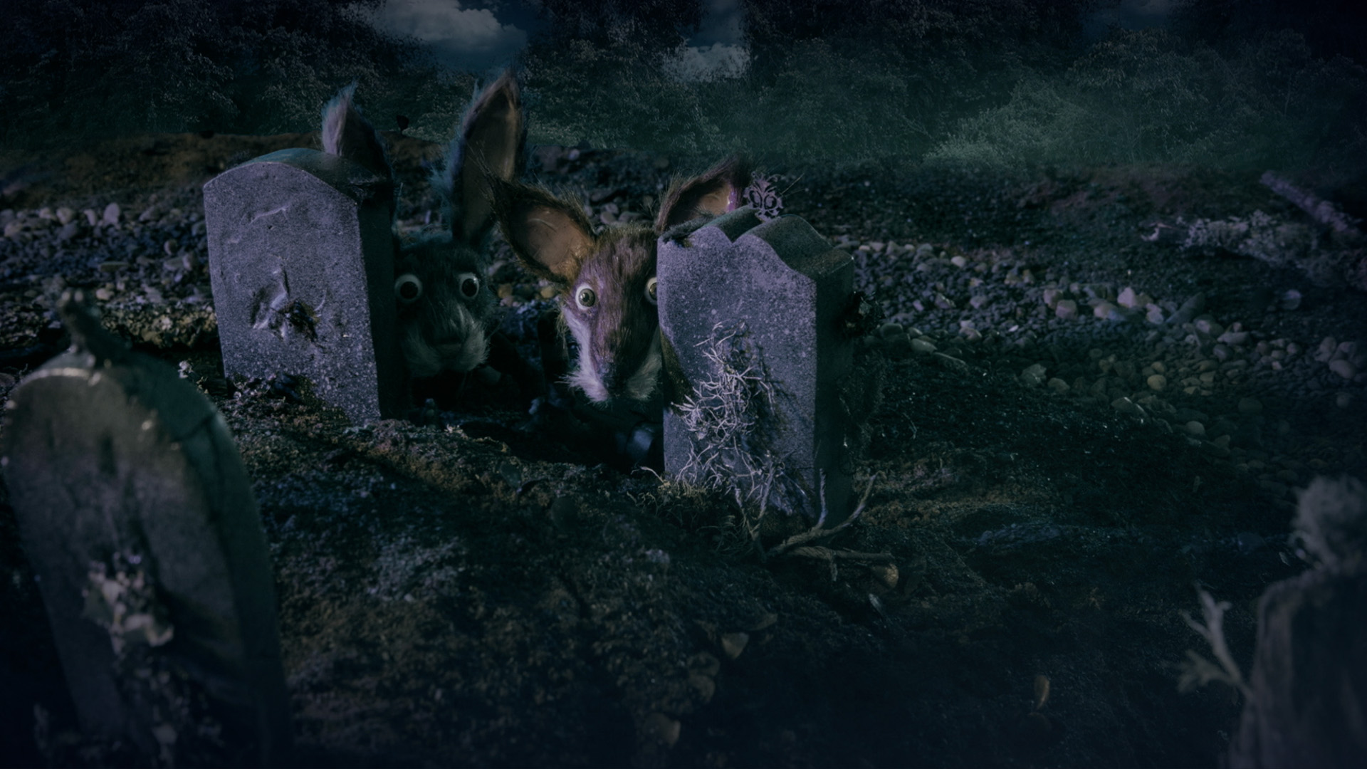 Garu y Ponki_fotograma 2 - Ismael Martin