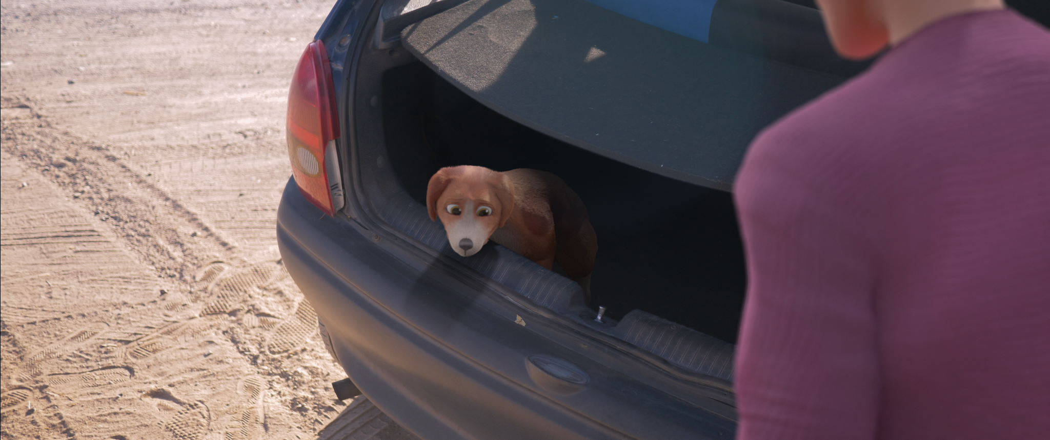 LaCarreteraDeLosPerros_Still_3 - Carlos Rueda (1)