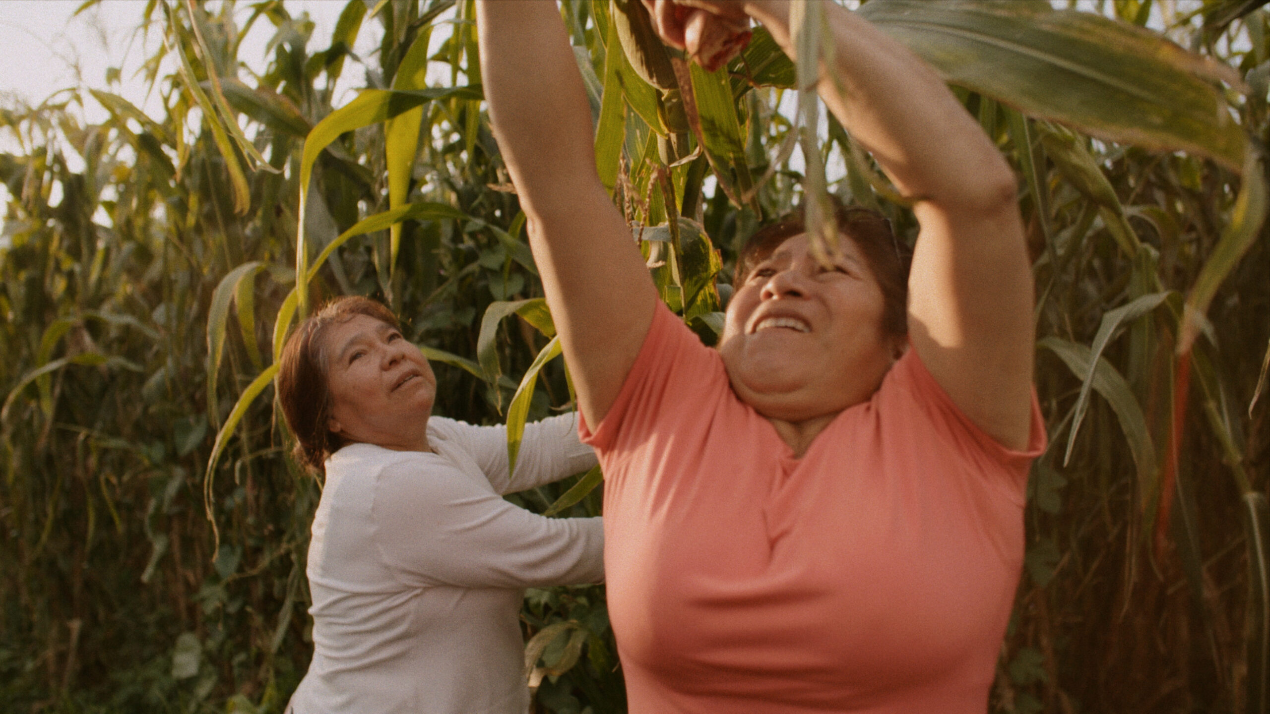 Night Of The Coyotes_still02