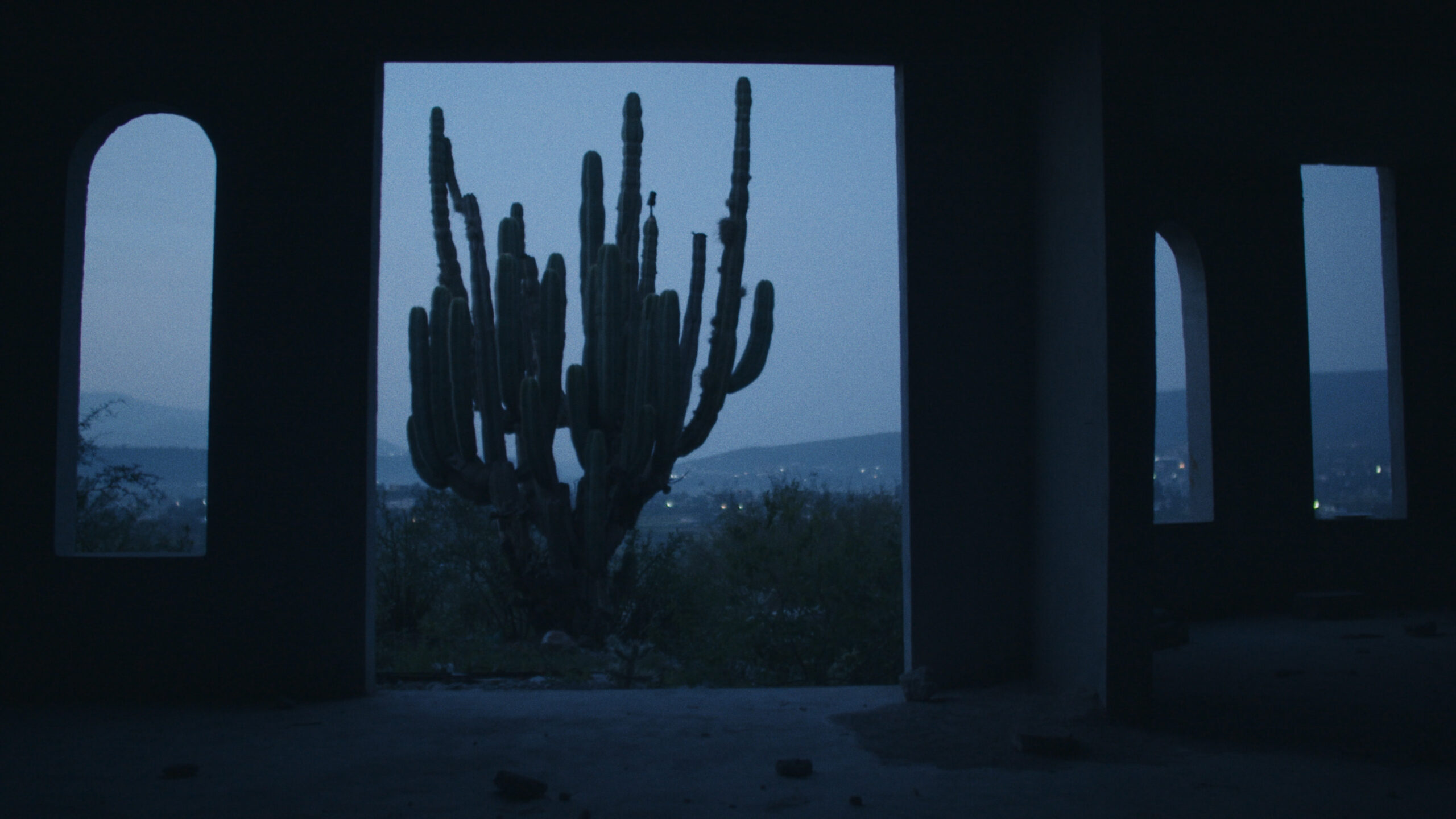 Night Of The Coyotes_still04