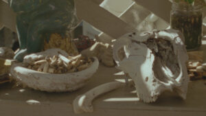 PLAIINS4 - miguelpmartins@hotmail.com