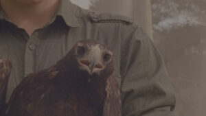 PLAINS2 - miguelpmartins@hotmail.com