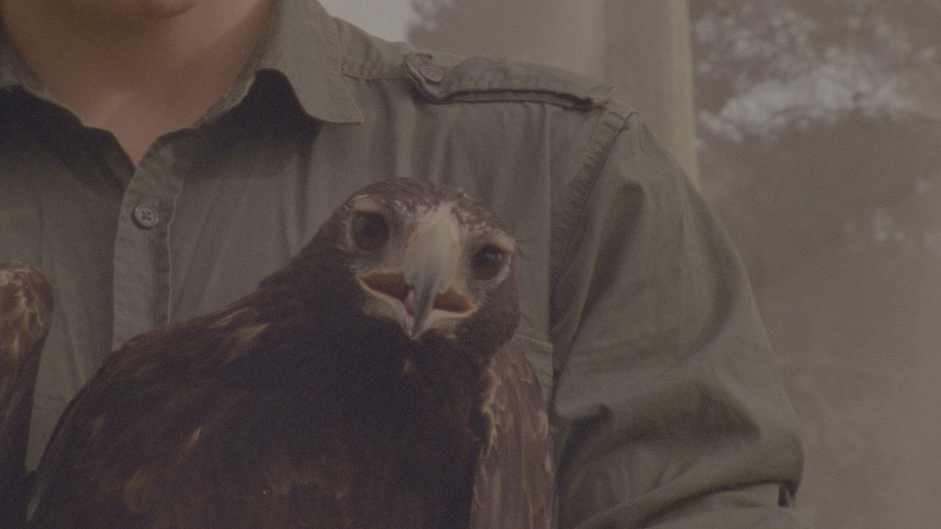 PLAINS2 - miguelpmartins@hotmail.com