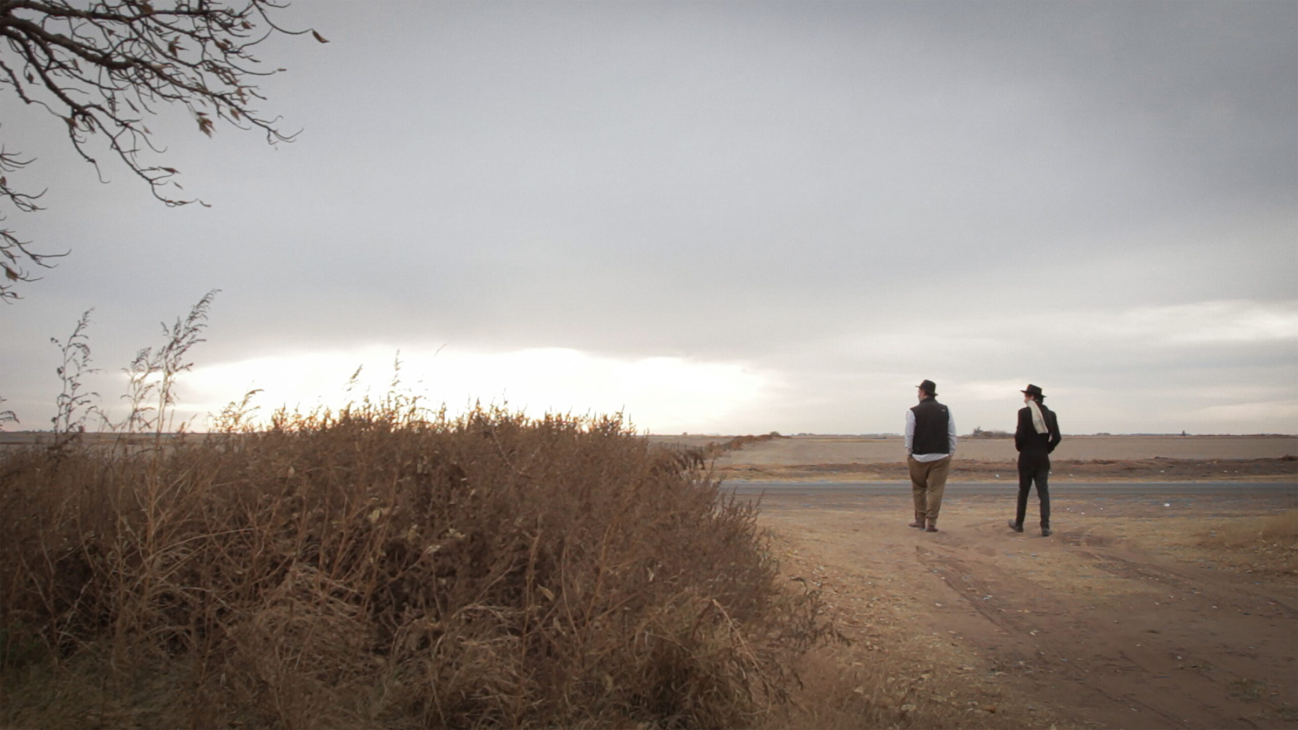 PTT_STILL_01 - Igna Codino