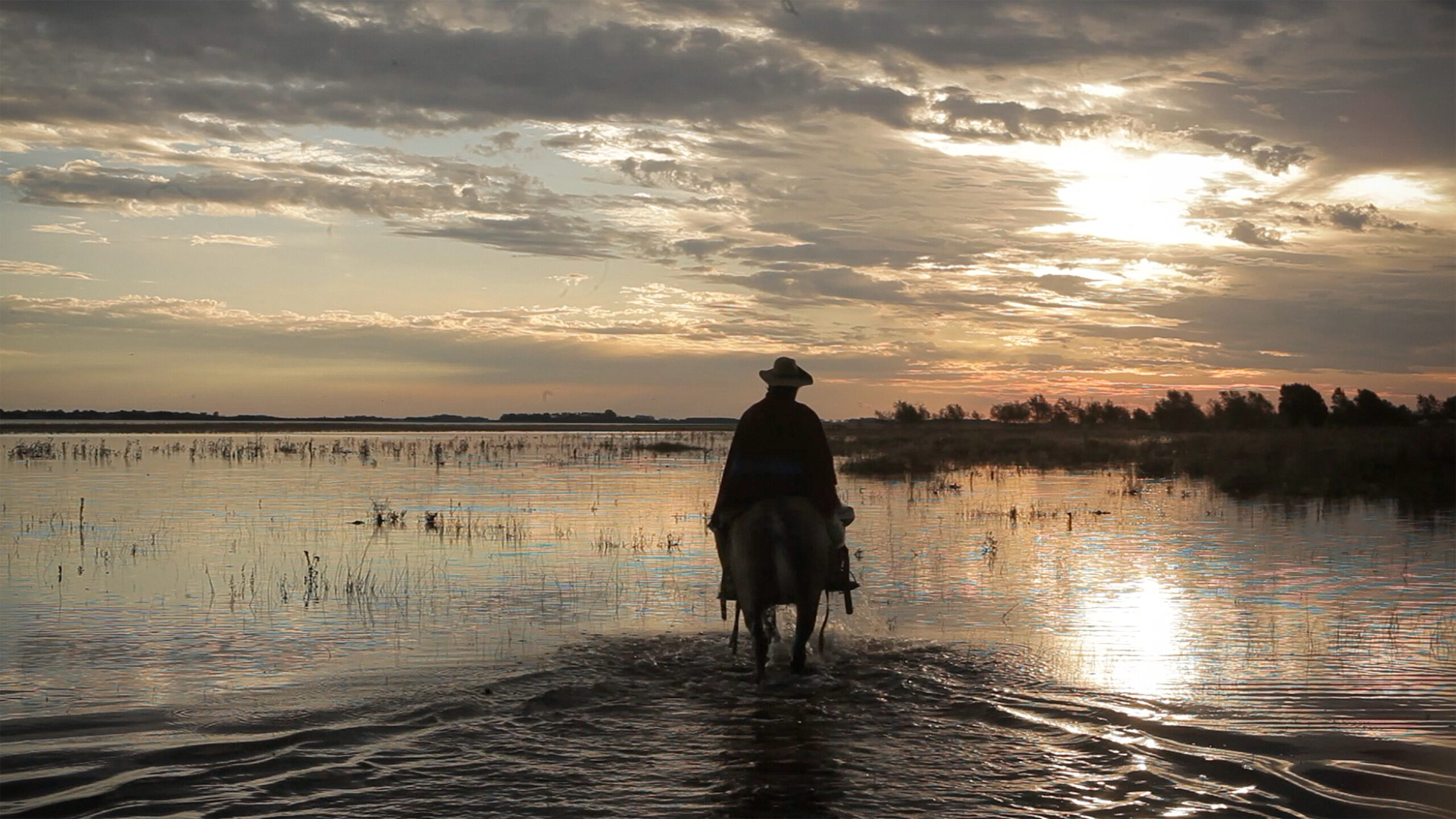 PTT_STILL_05 - Igna Codino