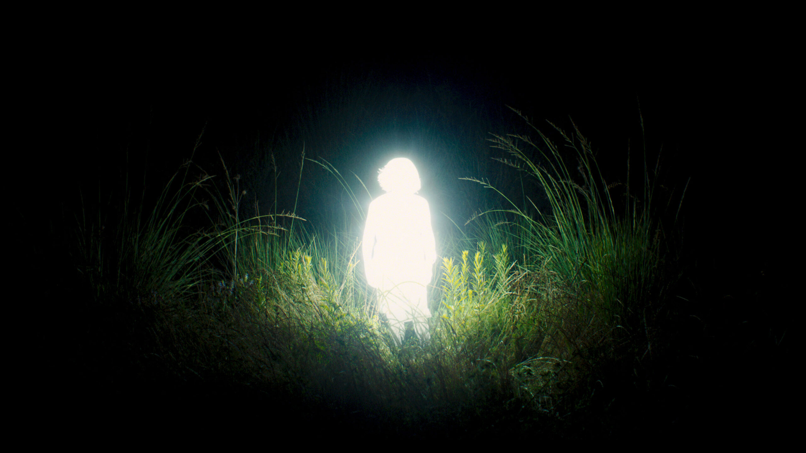 Rita_Grass_Night - Gewan Brown