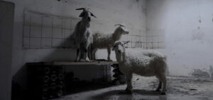 Still 02 - Nicolás Onischuk