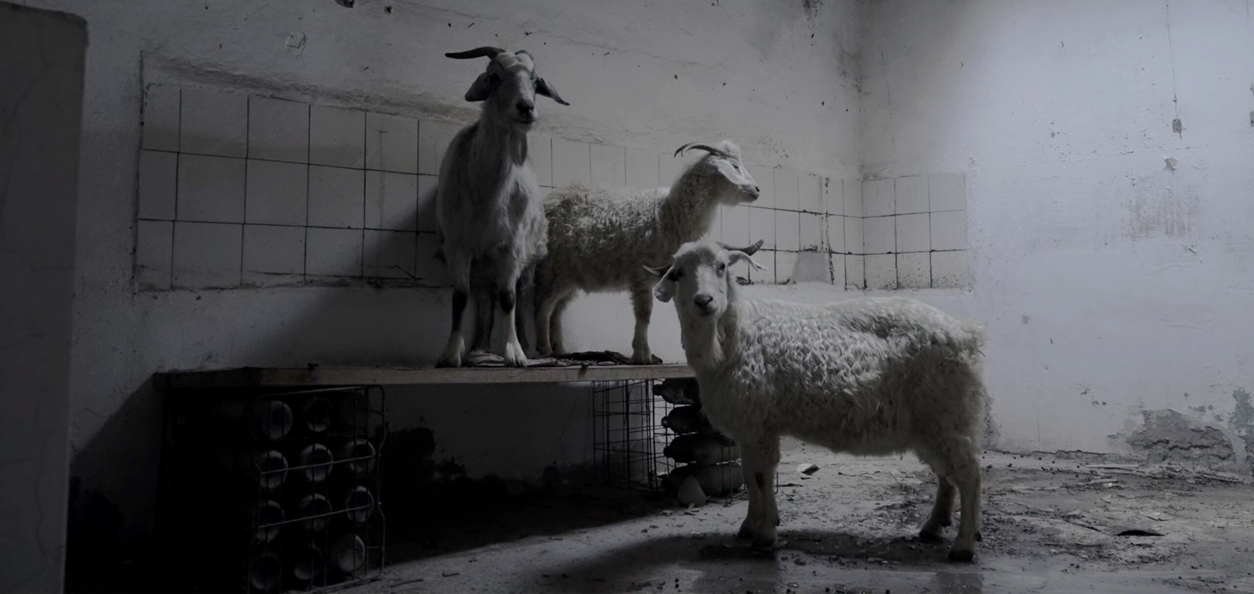 Still 02 - Nicolás Onischuk