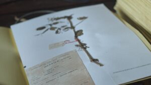 ToA_Stills_4K__1.1.5 - Max Ferguson