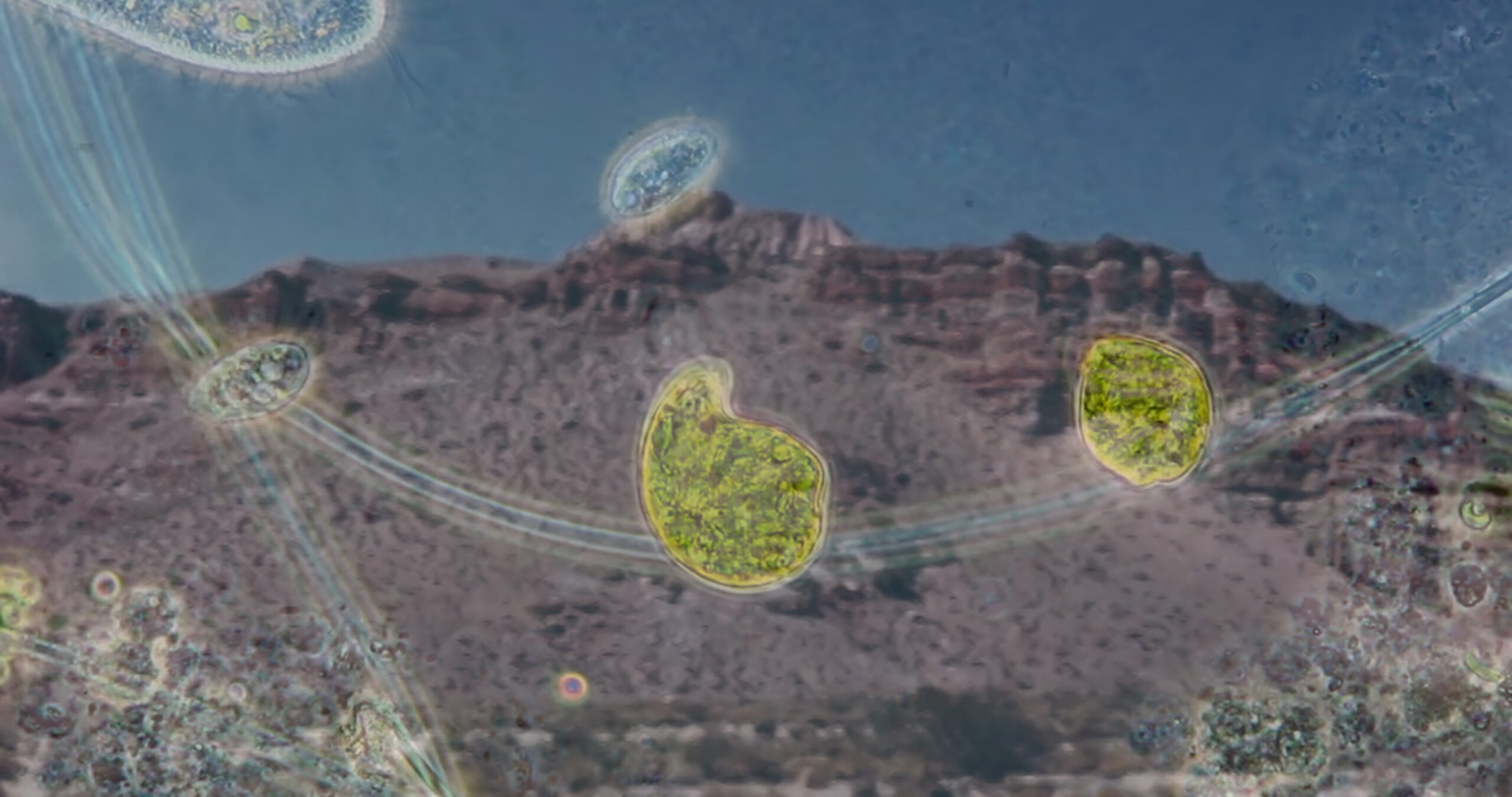 Como un estallido I Still 02