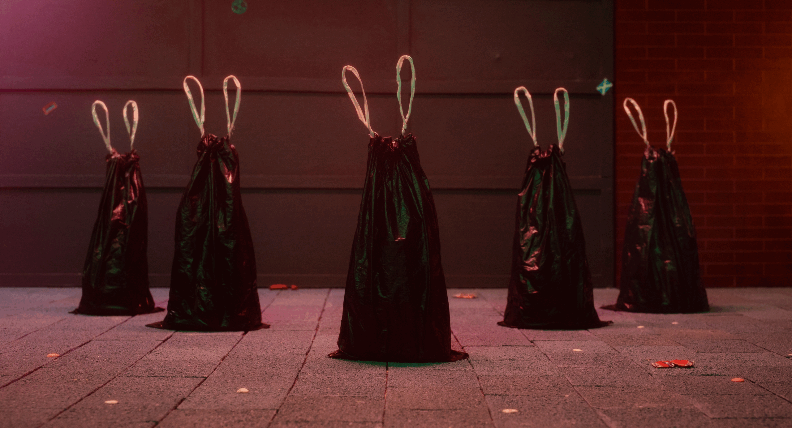 Still_1_reference image