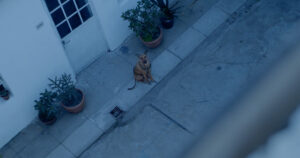 como un estallido - still-1