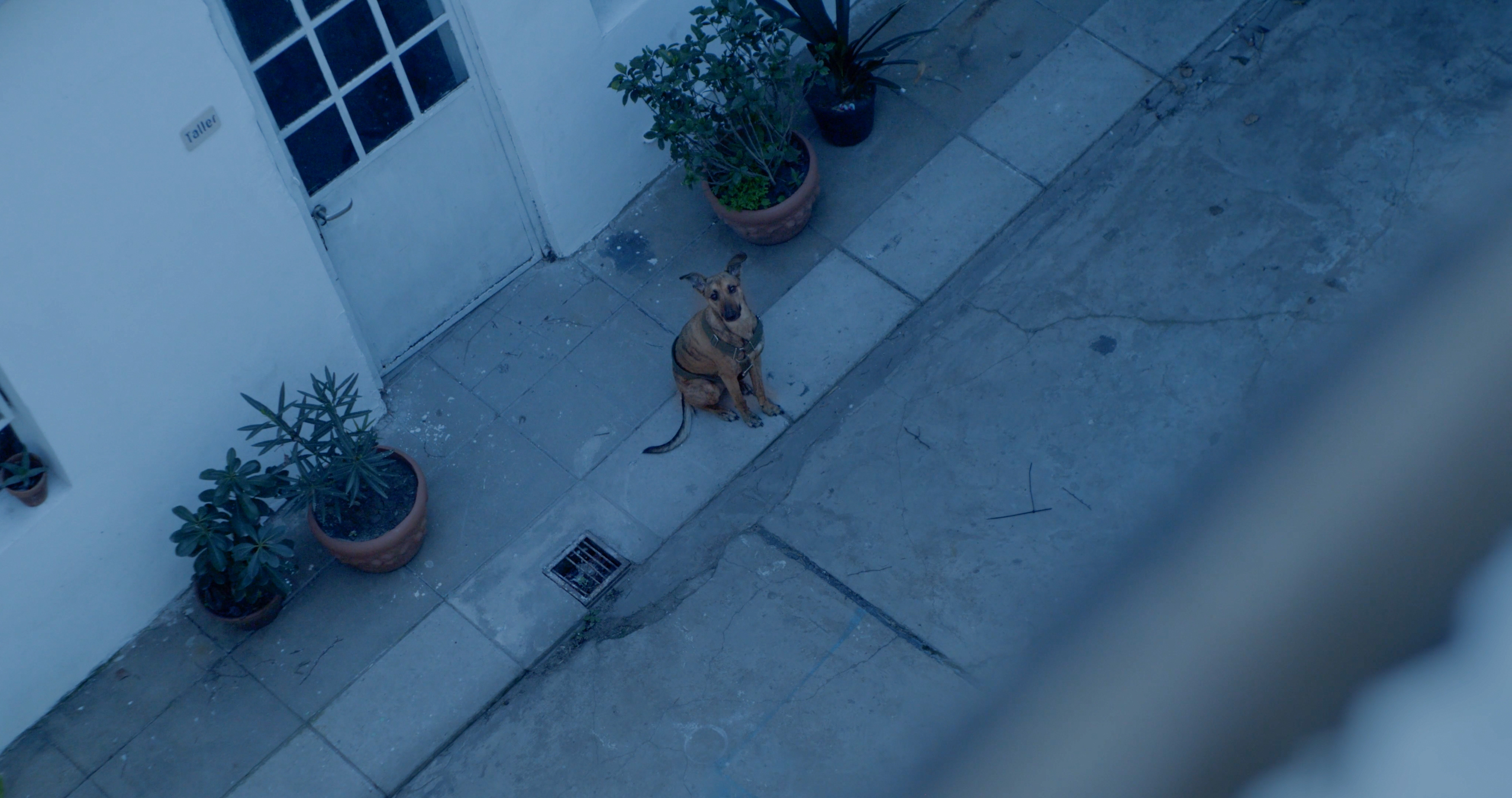 como un estallido - still-1