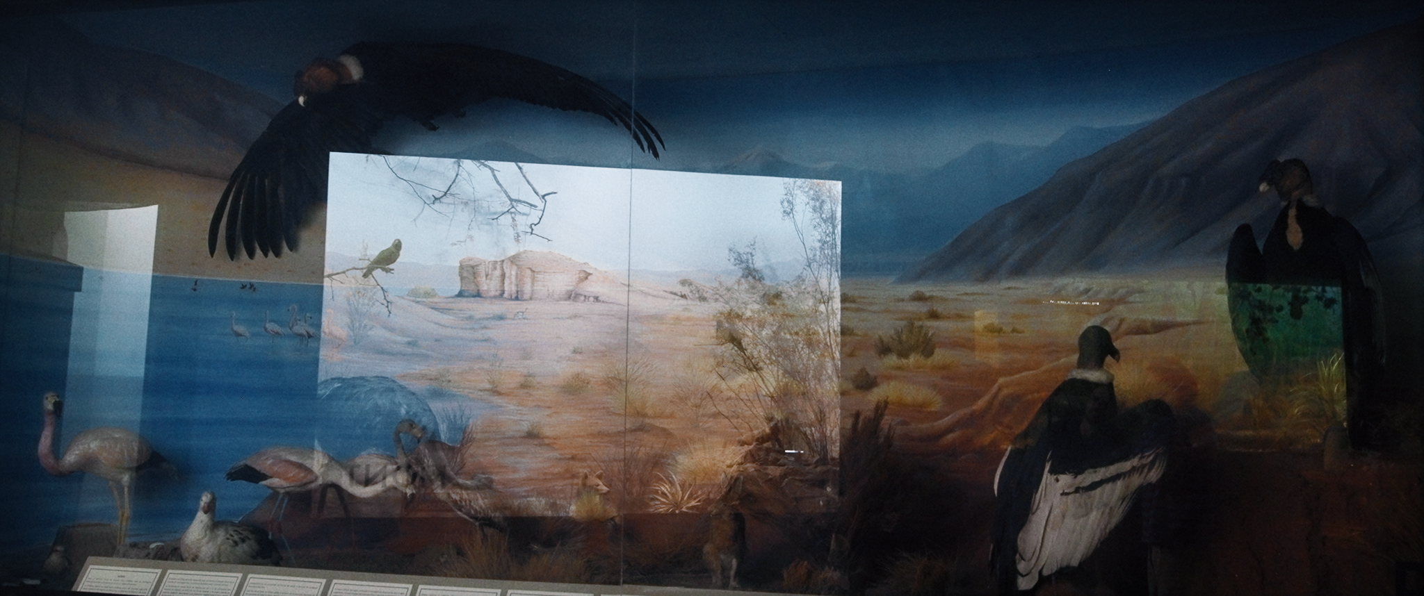 fotograma1 - Alejandro Gallo Bermúdez