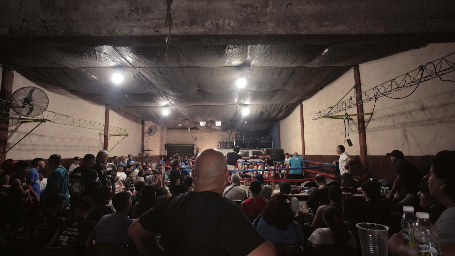 REVENTANDO_PIC_15 - Guillermo Ruiz