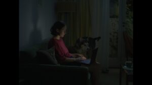 4.Jenny y Toni - Shortcuts Distribution