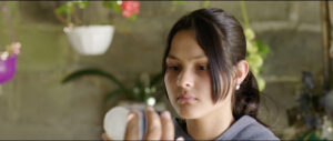 FRAME3_Tierracitrus - Ayelen Agüero