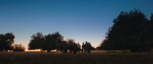 Ser un hombre - Still 6